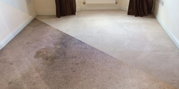 pro best carpet cleaning
